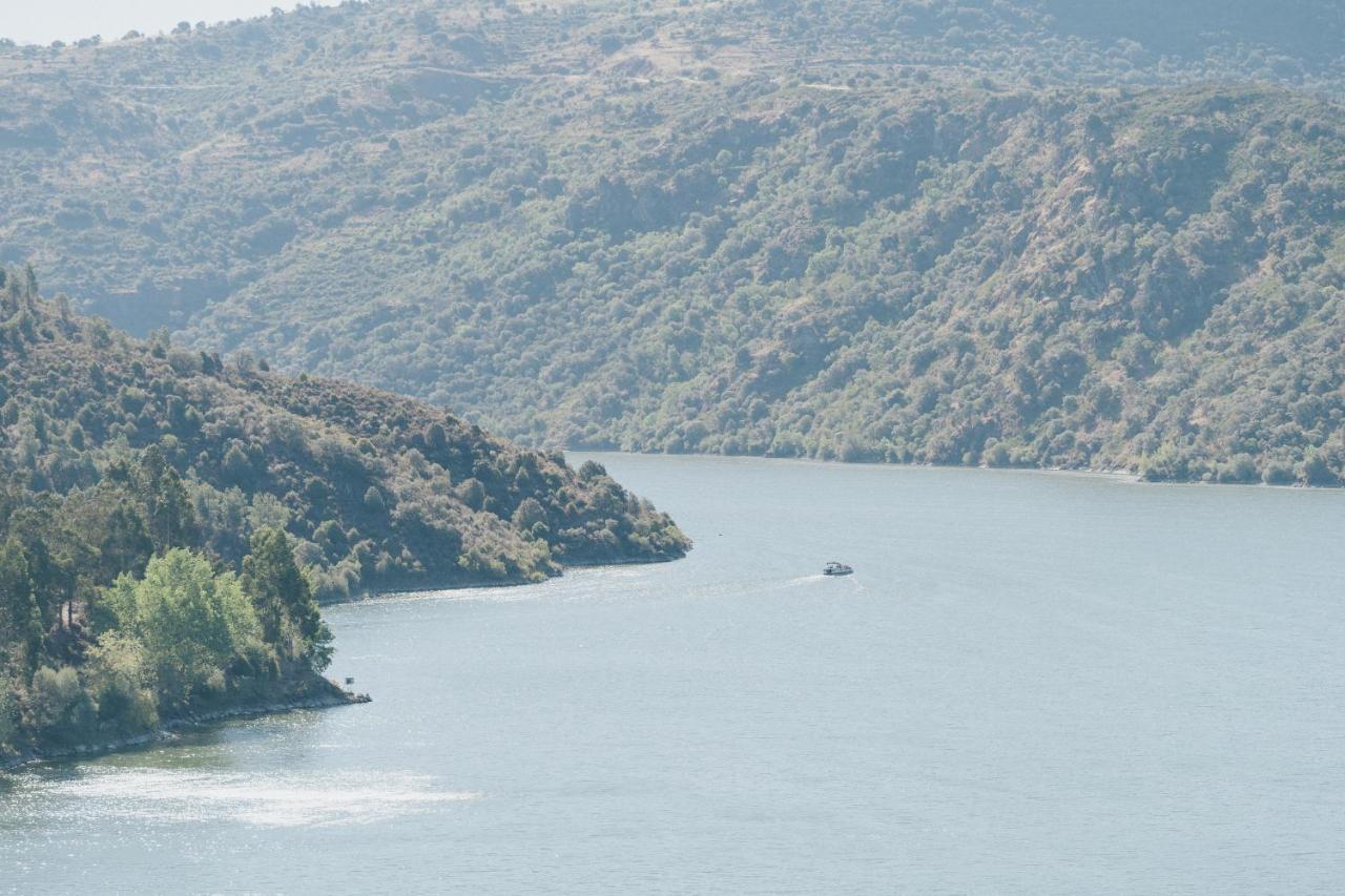 Casa Das Arribas - Rio Douro Aos Seus Pes Bemposta  Εξωτερικό φωτογραφία